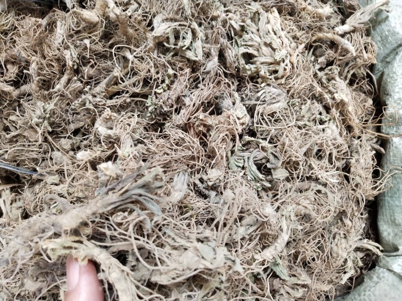 地胆草根，地胆头，新货中药材地胆头，产地一手货源，