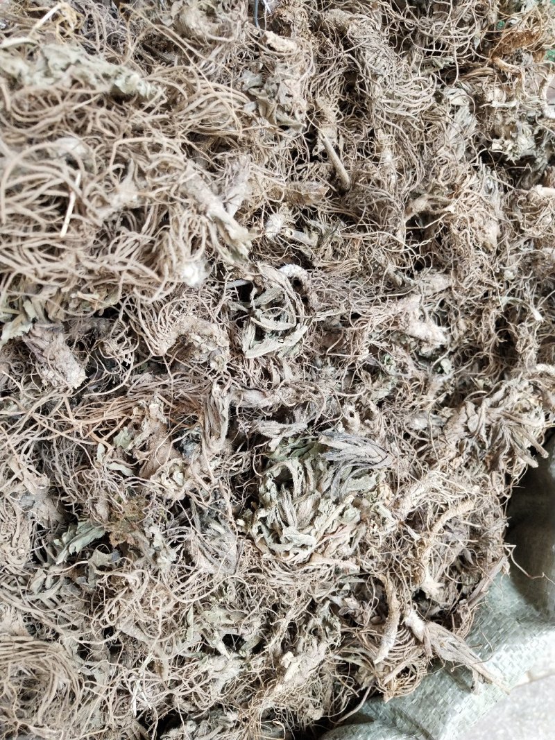 地胆草根，地胆头，新货中药材地胆头，产地一手货源，