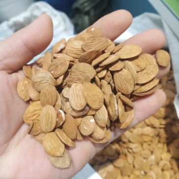 精选桃仁（脱壳桃仁带壳桃仁野生桃仁生桃仁）