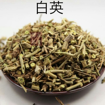 白英，常年批发供应白英，中药材