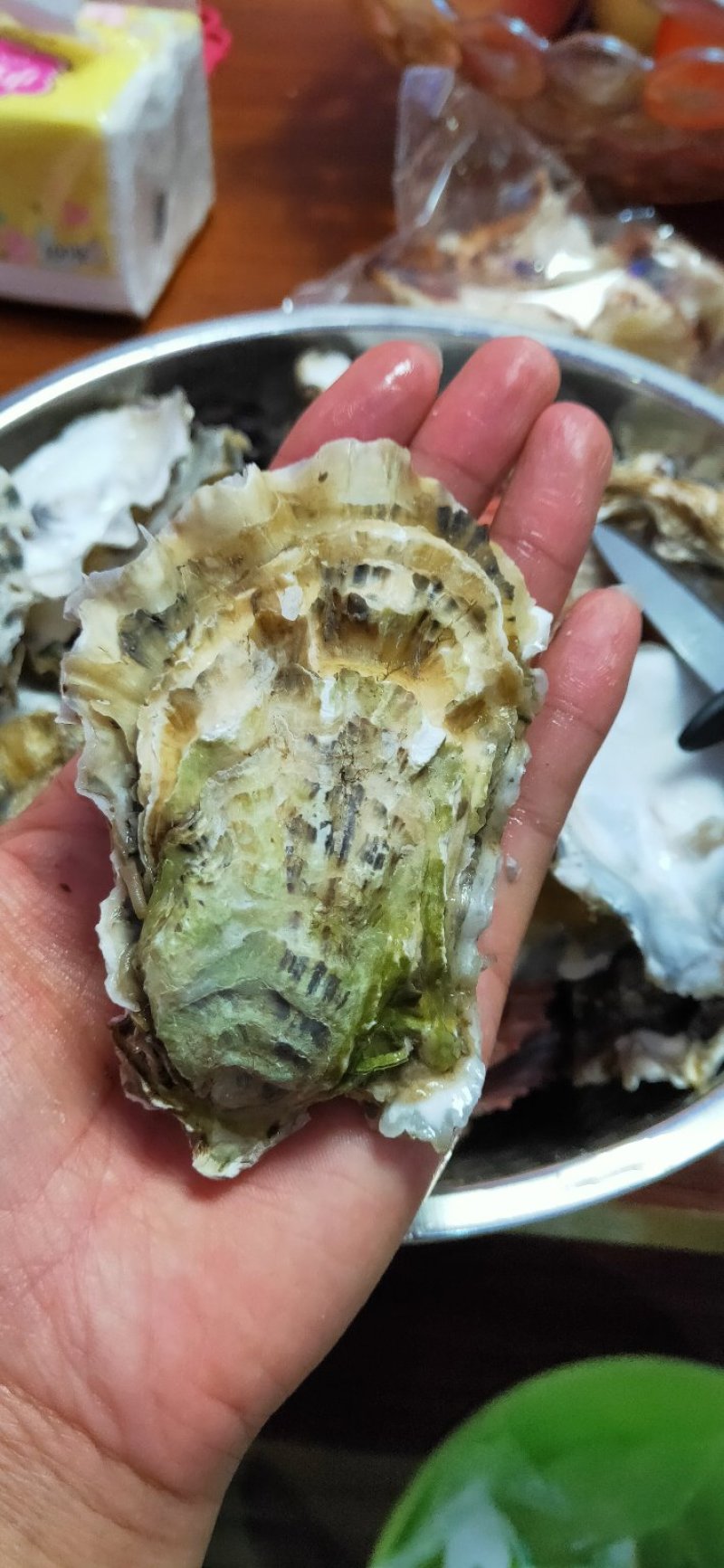 生蚝海蛎子又名牡蛎海蛎子牡蛎