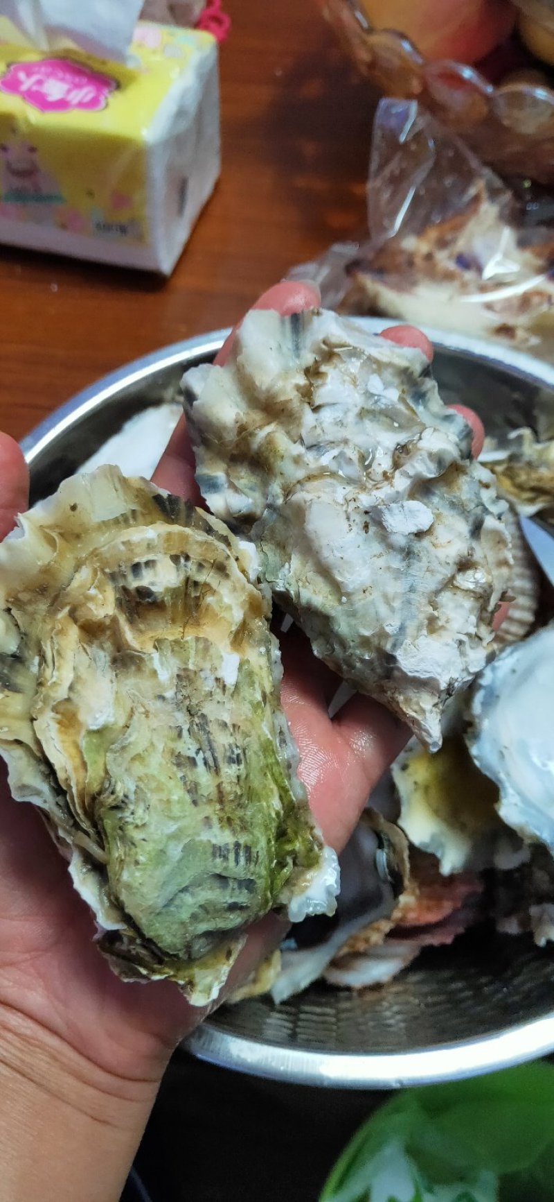 生蚝海蛎子又名牡蛎海蛎子牡蛎