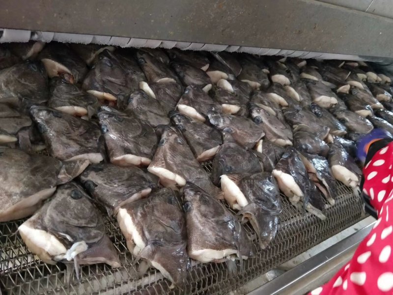 格陵兰深海鲽鱼头，一手货源出厂价走量批发，1.5斤-2斤