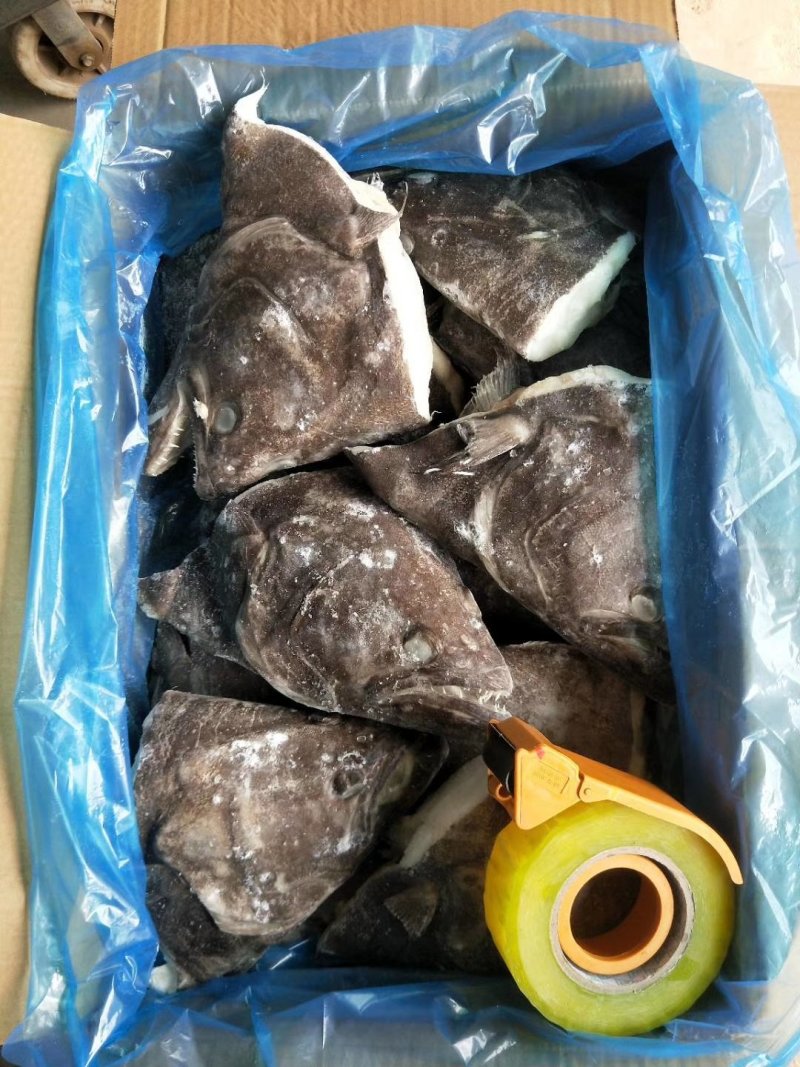 格陵兰深海鲽鱼头，一手货源出厂价走量批发，1.5斤-2斤