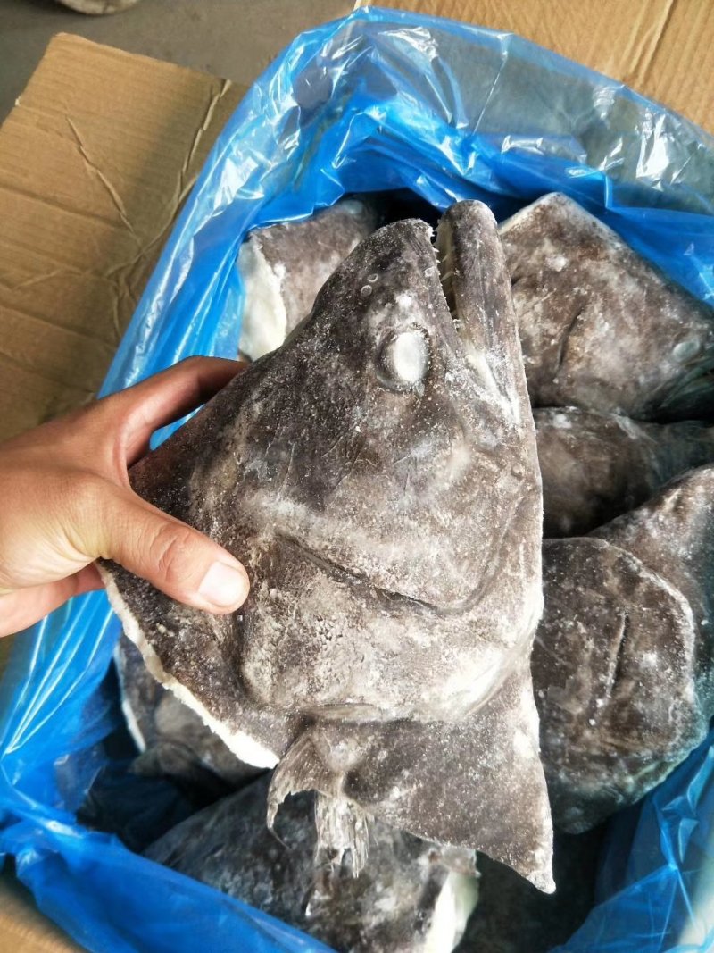 格陵兰深海鲽鱼头，一手货源出厂价走量批发，1.5斤-2斤