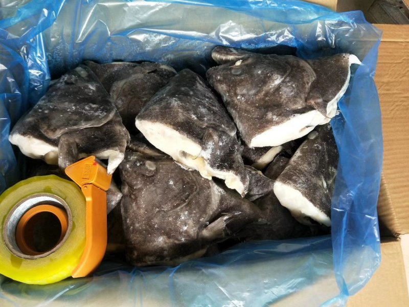 格陵兰深海鲽鱼头，一手货源出厂价走量批发，1.5斤-2斤