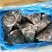 格陵兰深海鲽鱼头,一手货源出厂价走量批发,1.5斤-2斤