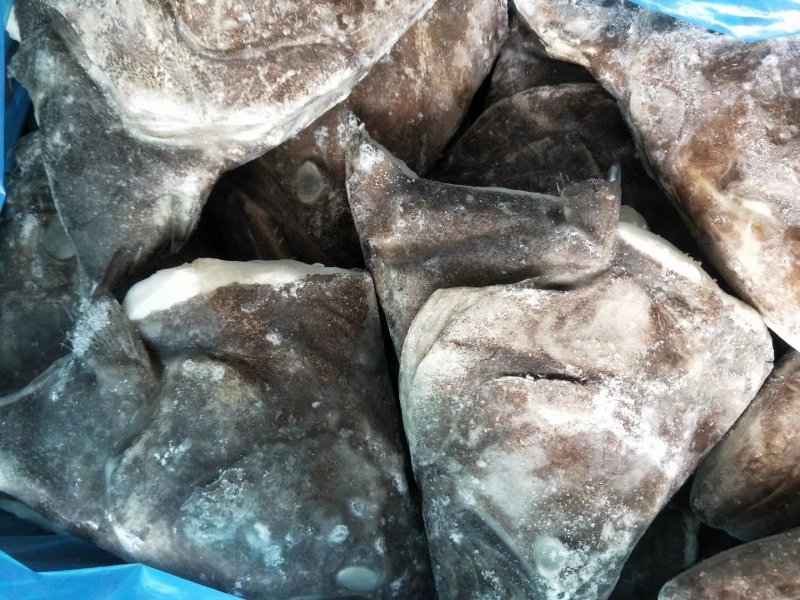 格陵兰深海鲽鱼头，一手货源出厂价走量批发，1.5斤-2斤