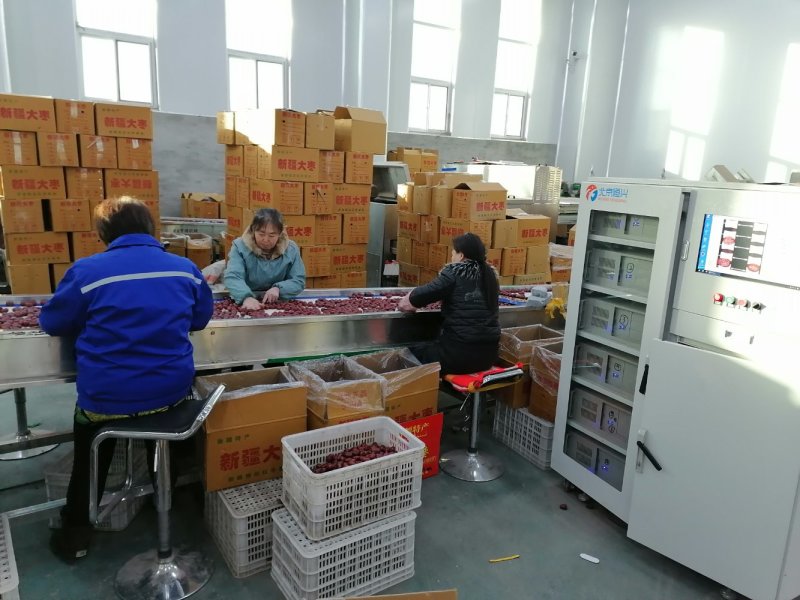 新疆大枣灰枣电商团购超市赶集摆摊干果店早市批发市场