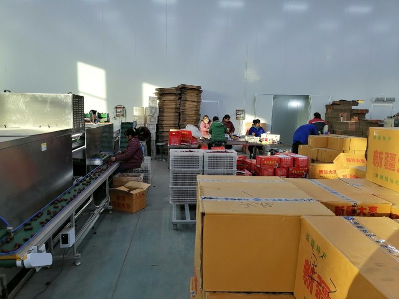新疆大枣灰枣电商团购超市赶集摆摊干果店早市批发市场