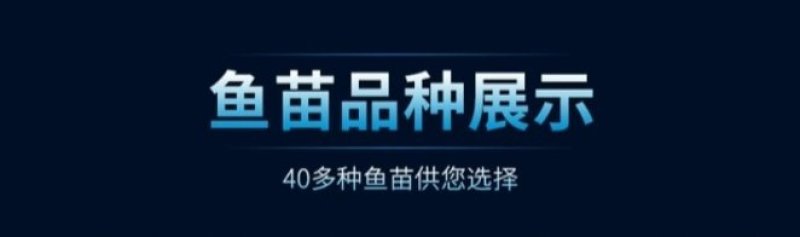 优质淡水黄颡鱼苗黄骨鱼苗黄丫头鱼苗鱼场直供保证品质