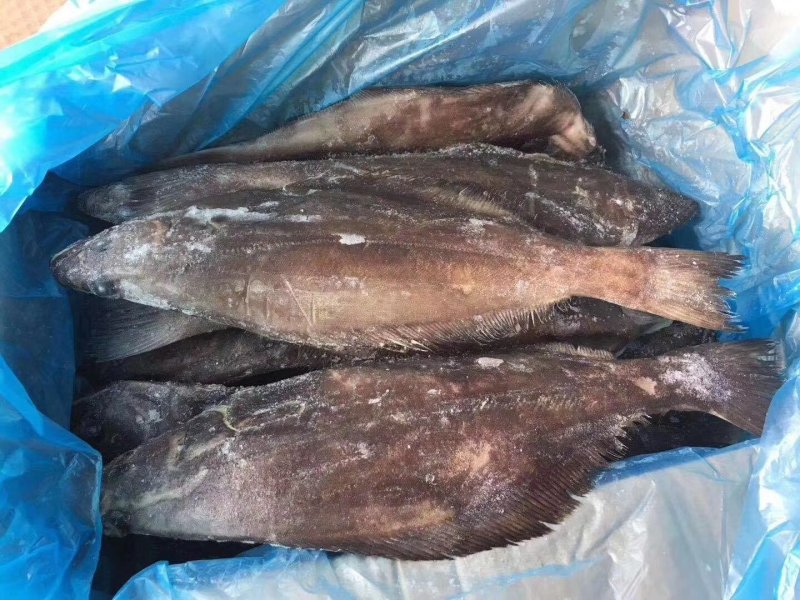 格陵兰比目鱼，船冻A级，单冻规格齐全，一手货源批发走量