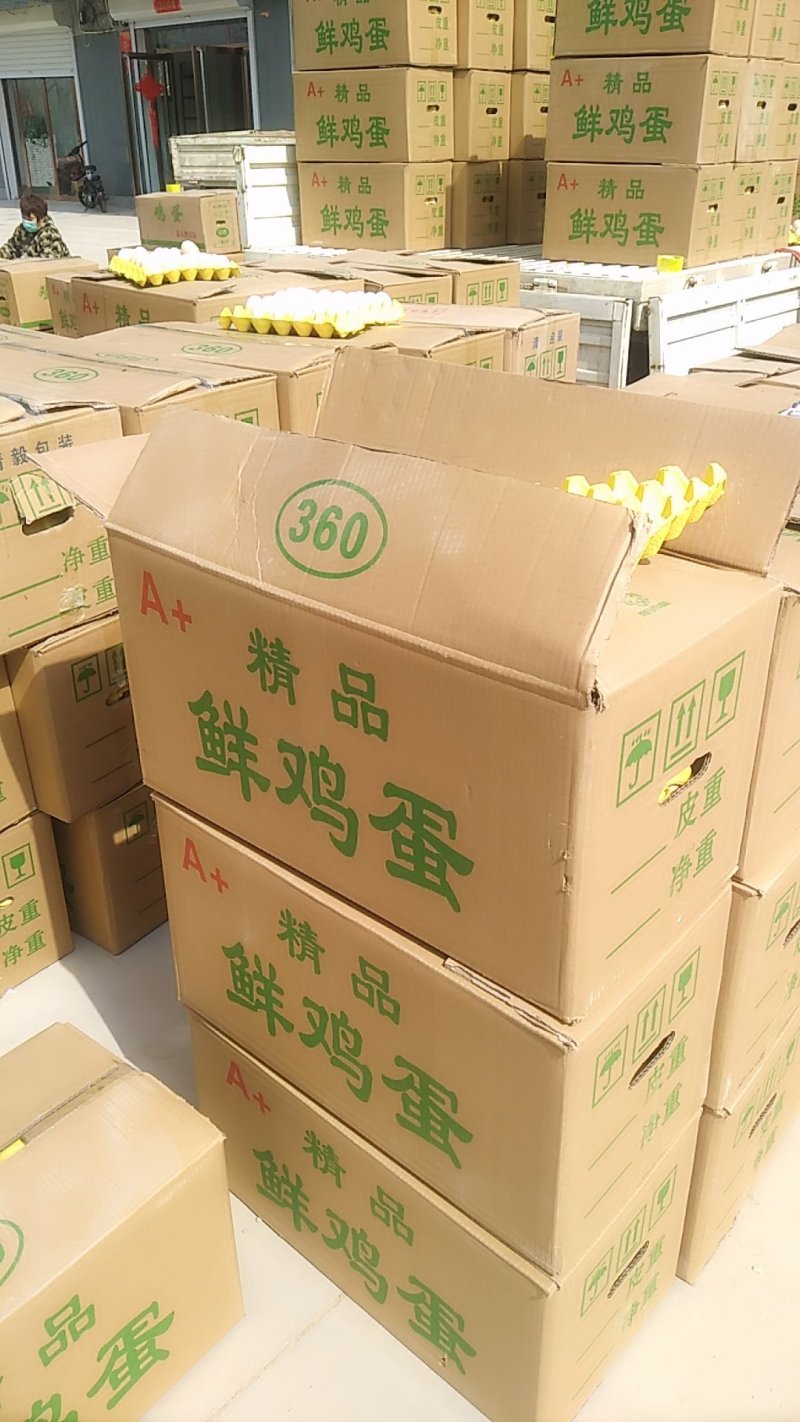 精品.普通.粉蛋质量保证欢迎新老客户订购！