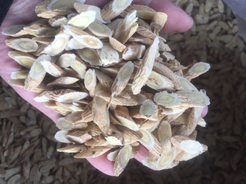 甘肃陇西黄芪优选够含量
