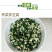 鲜野生荠菜带根新鲜非冷冻3斤装当季蔬菜不洗干过冬农村野菜