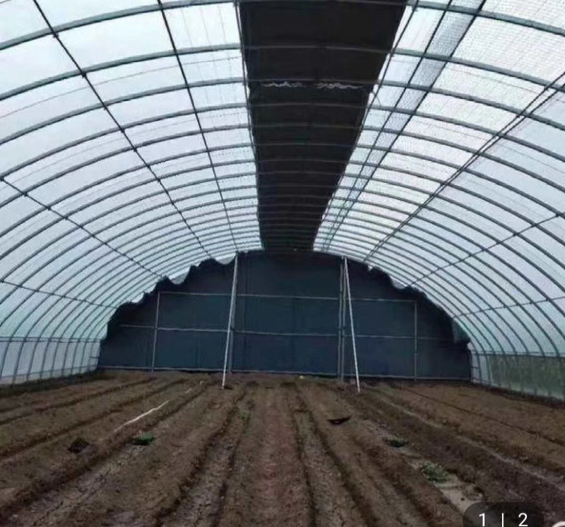 养殖大棚种植大棚养鸡大棚养猪大棚支持订做