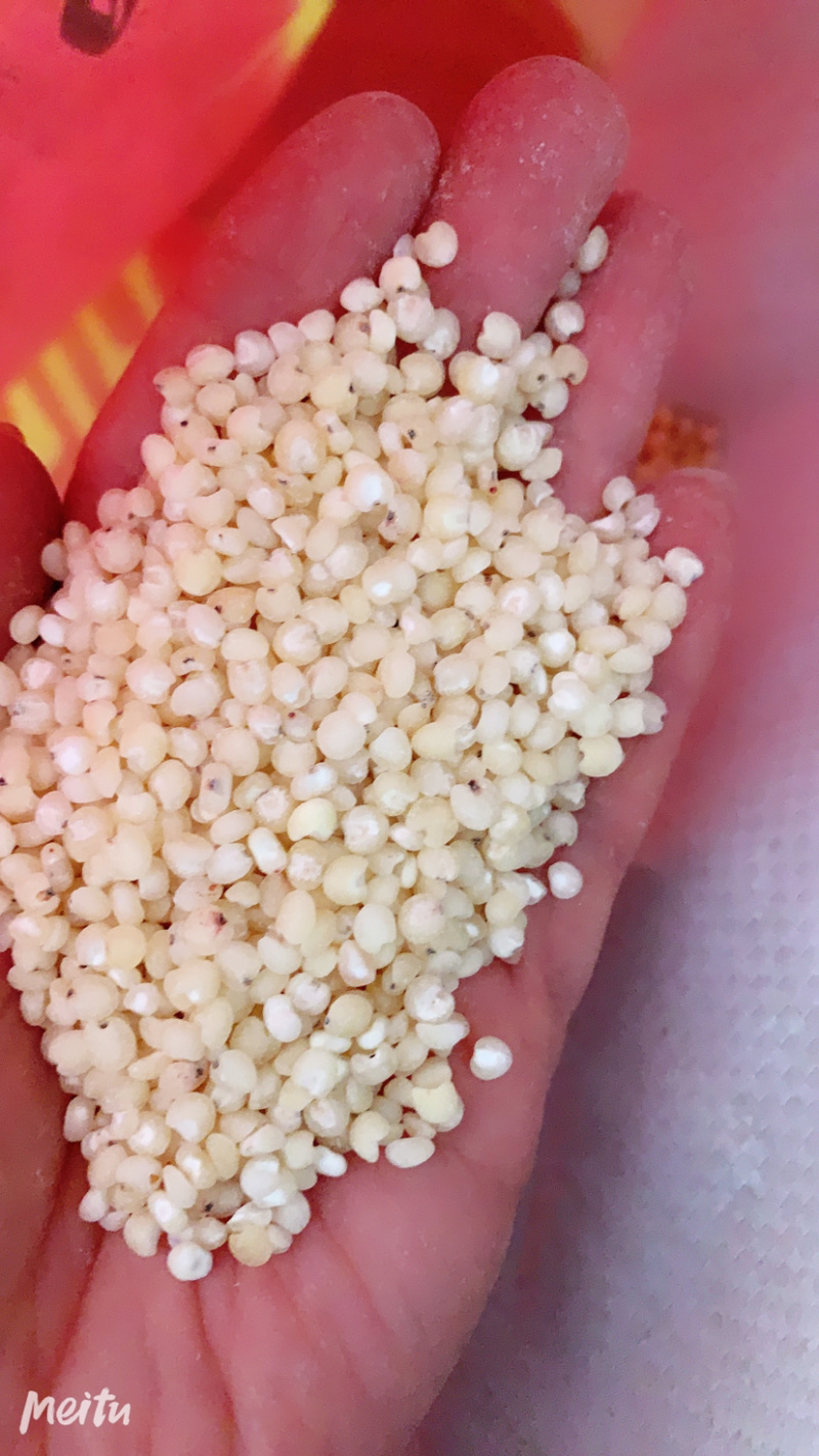 【辽宁高粱米】6A高粱白高粱米老品种加工蒸饭熬粥农户自种