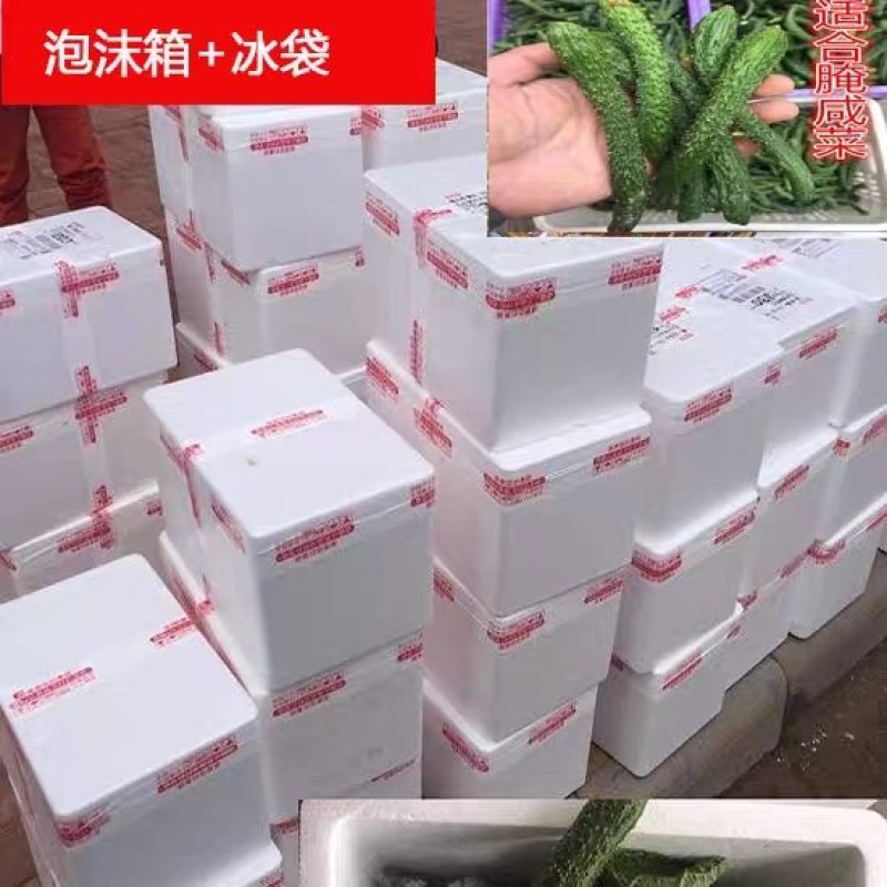 小嫩黄瓜仔黄瓜妞沂南现摘腌制咸菜料新鲜现季水果蔬菜青瓜