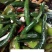 小嫩黄瓜仔黄瓜妞沂南现摘腌制咸菜料新鲜现季水果蔬菜青瓜