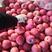 栖霞片红苹果冷库货一二级货，80规格以上的果子