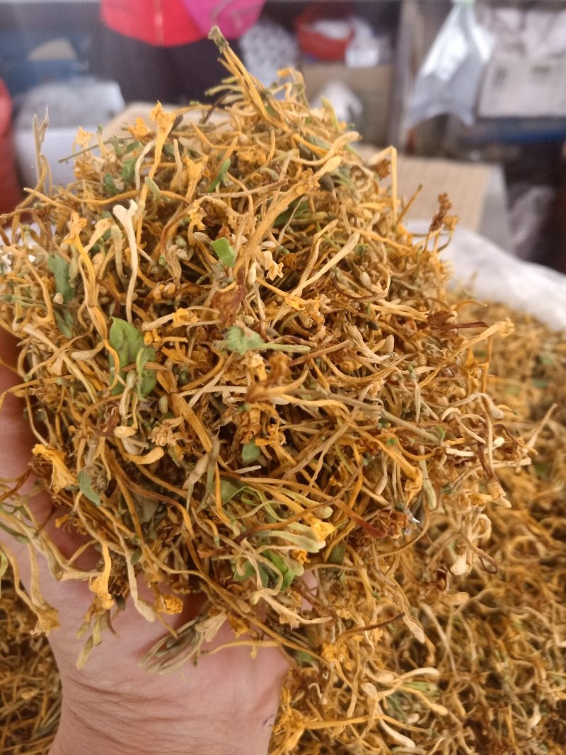 云南普洱野生金银花_清热去火