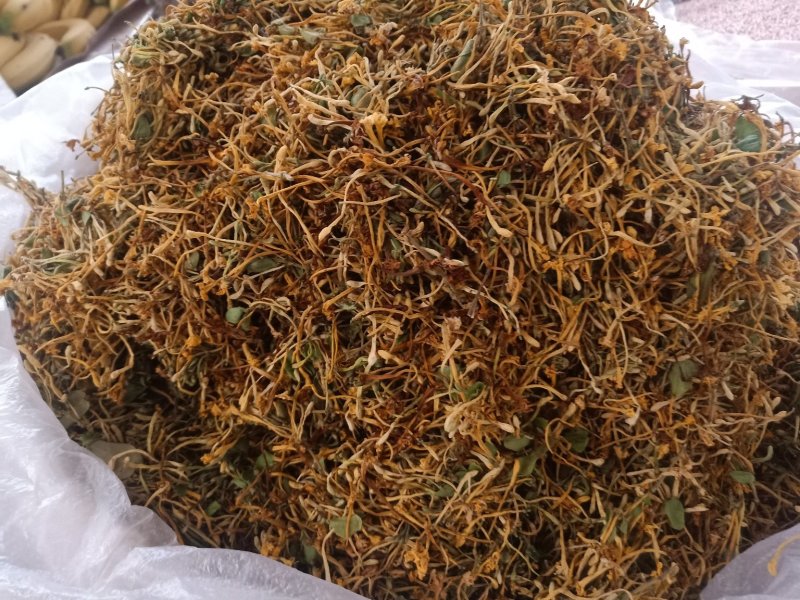 云南普洱野生金银花_清热去火