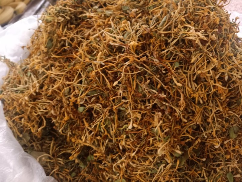 云南普洱野生金银花_清热去火