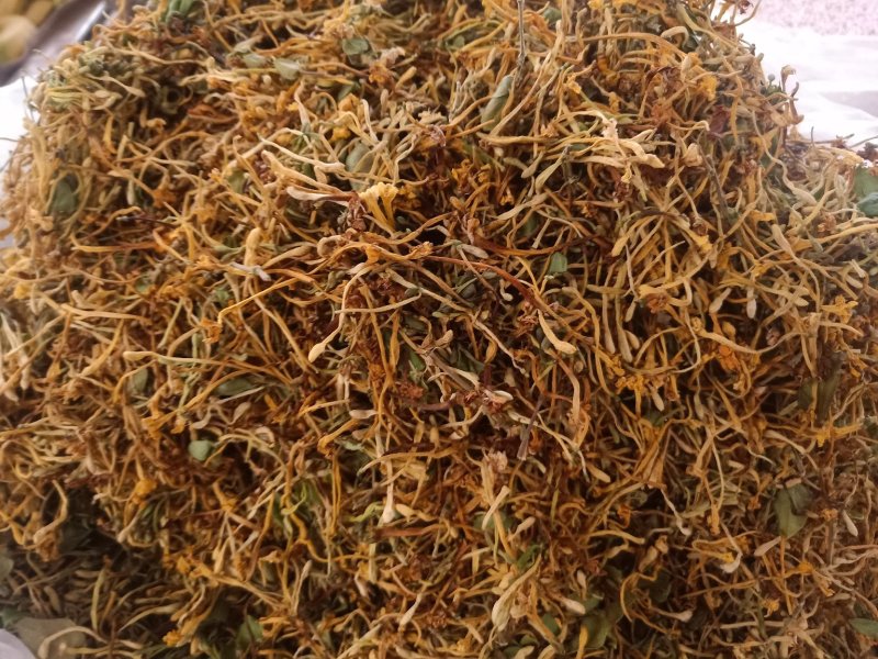 云南普洱野生金银花_清热去火