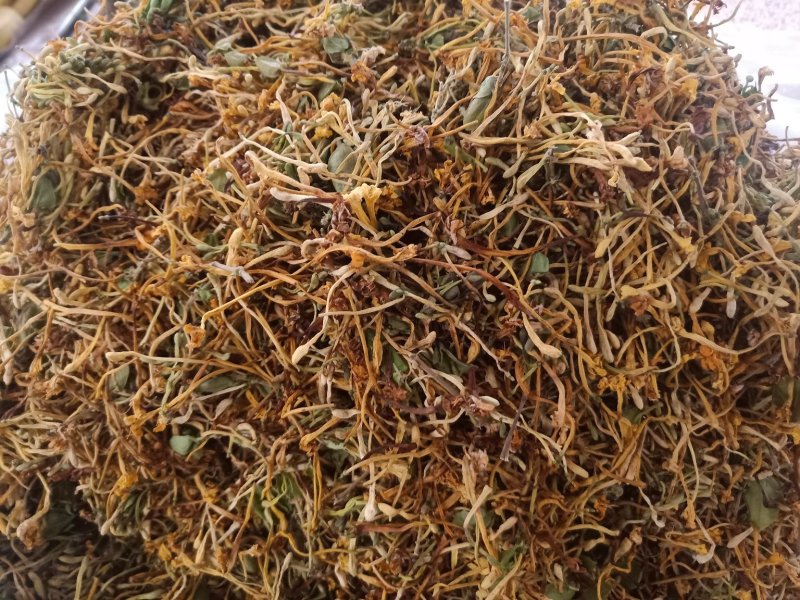 云南普洱野生金银花_清热去火