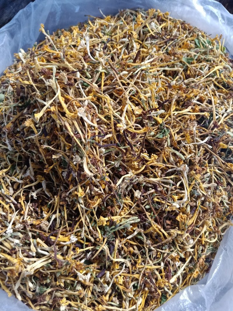 云南普洱野生金银花_清热去火