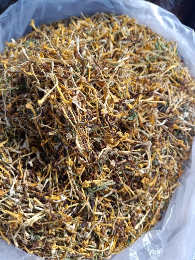 云南普洱野生金银花_清热去火