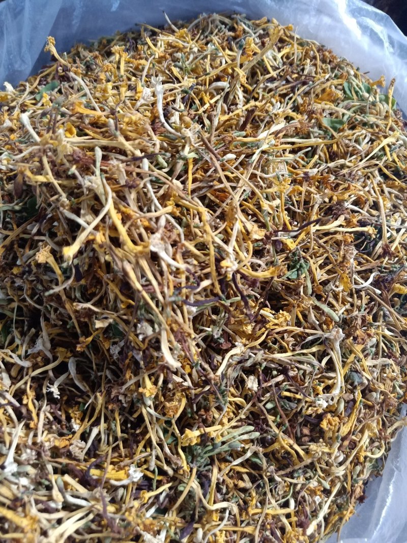 云南普洱野生金银花_清热去火