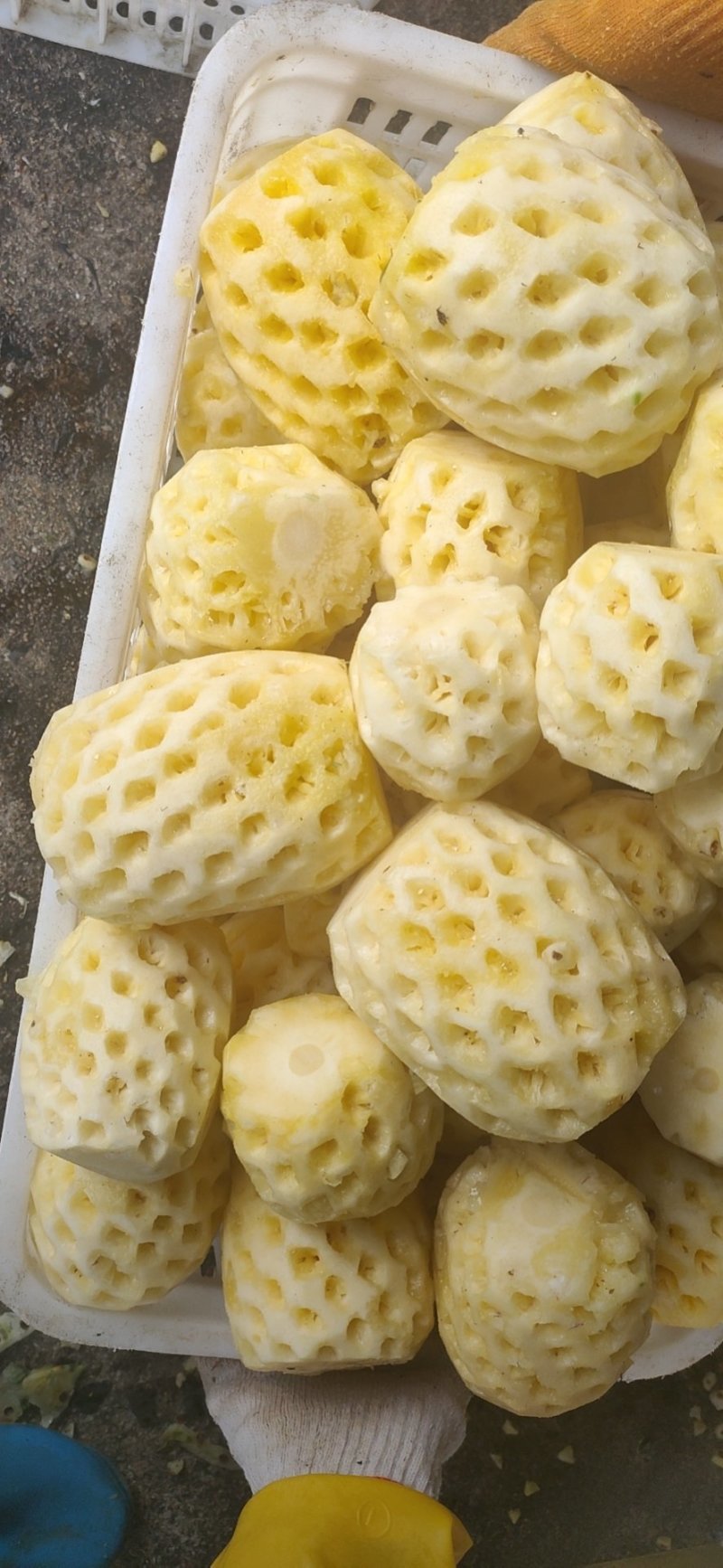 徐闻菠萝红土金菠果靓味甜20度走大货一件代发