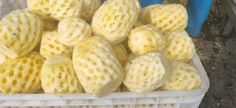 徐闻菠萝红土金菠果靓味甜20度走大货一件代发