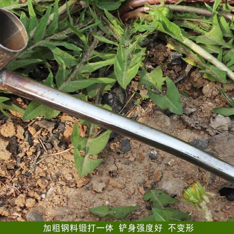 多功能小铲子园林艺挖野菜铁铲大蒜种花养花工具