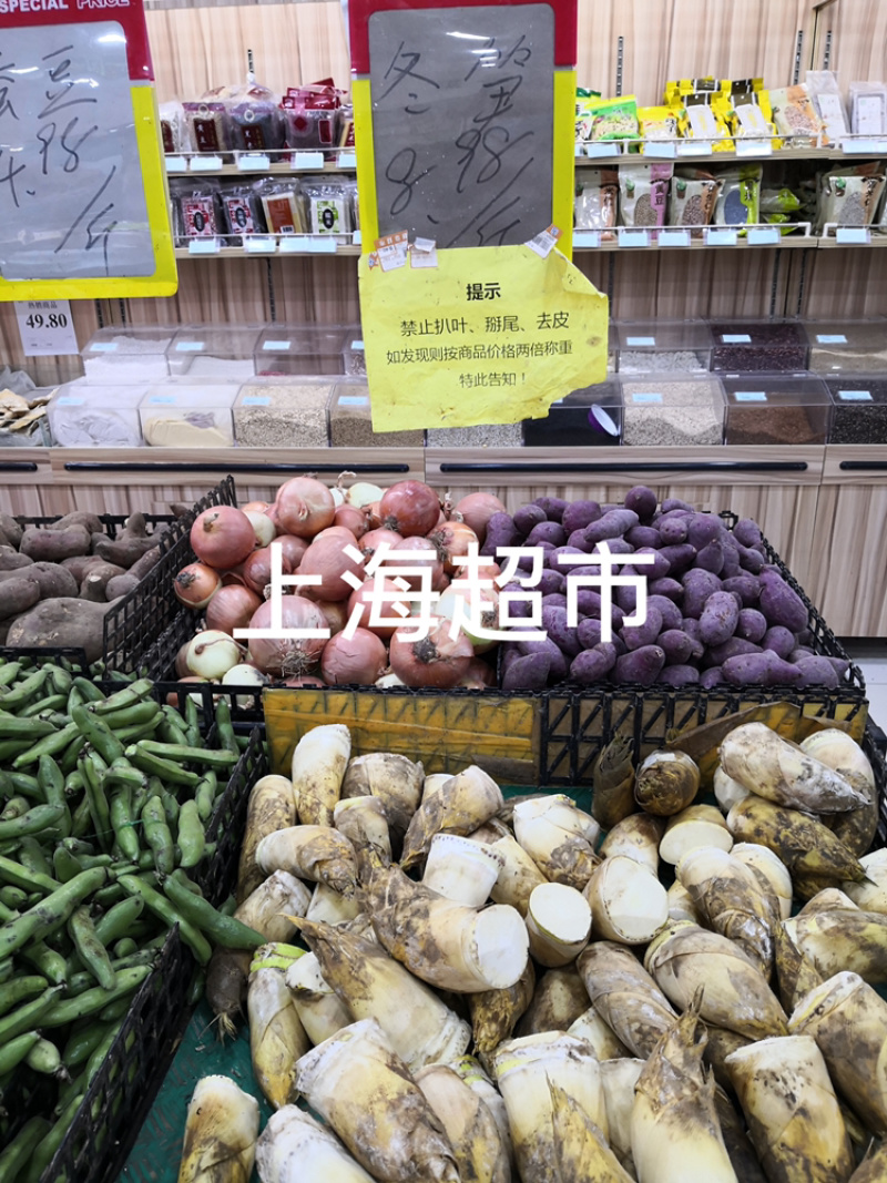2020春季3月份优质笋