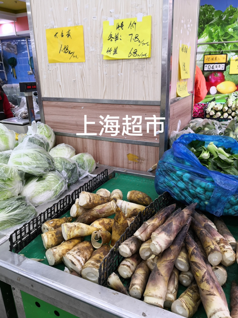 2020春季3月份优质笋