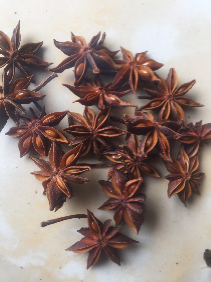 大红八角，干枝，黑果大量现货