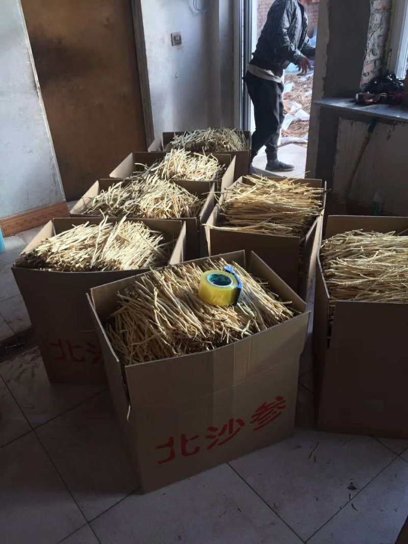 北沙参条，正宗无硫北沙参内蒙赤峰产，产地直销。