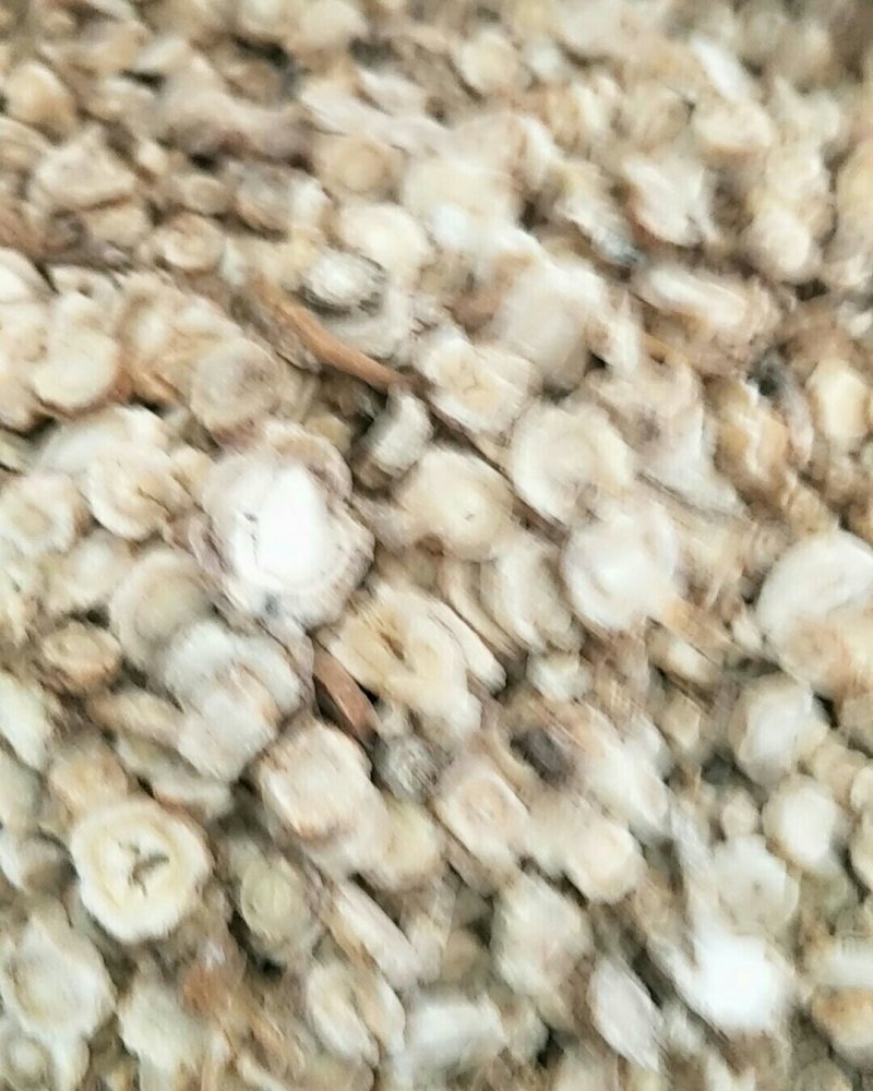 北沙参，常年批发供应药食两用中药材