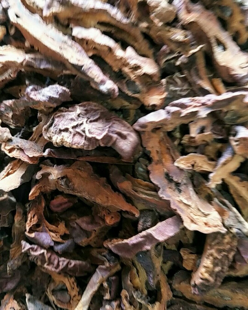 木瓜，常年批发供应皱皮木瓜