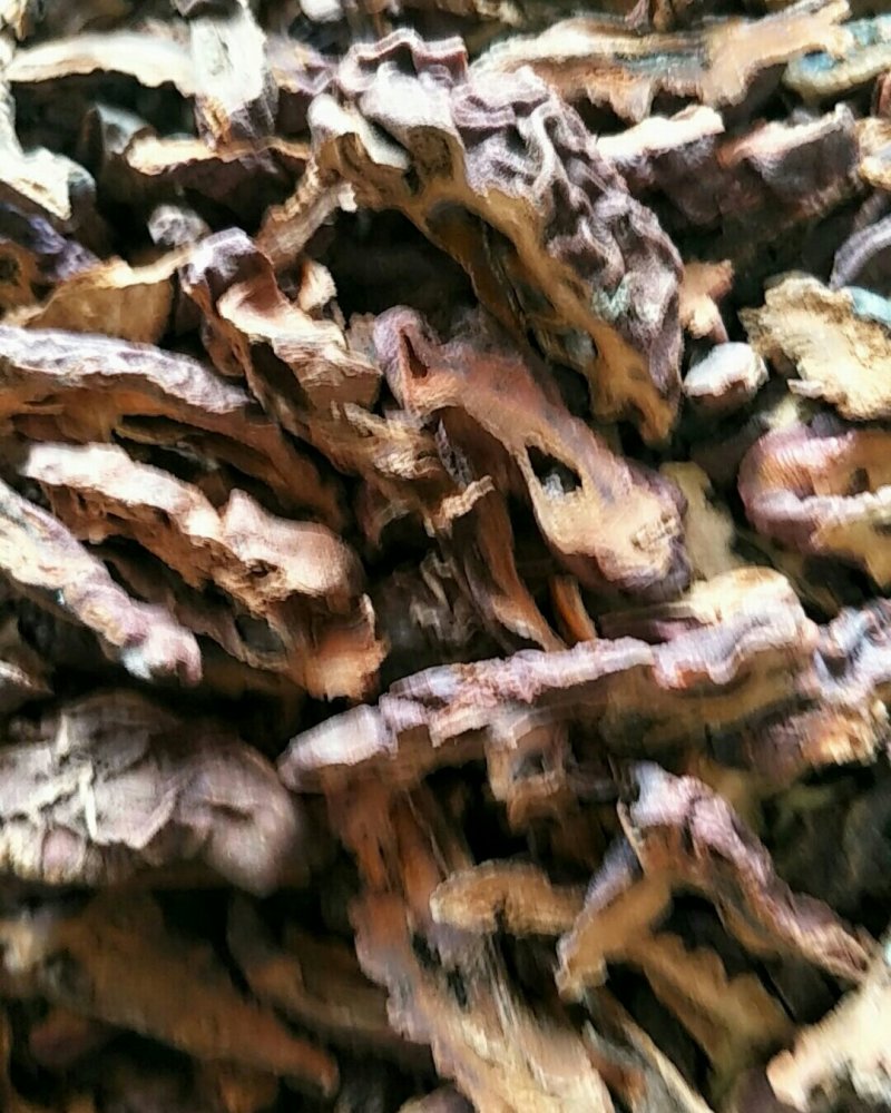 木瓜，常年批发供应皱皮木瓜