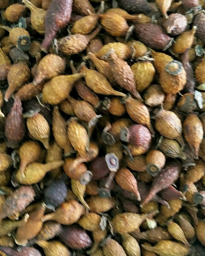 金樱子，常年批发供应中药材，金樱子肉