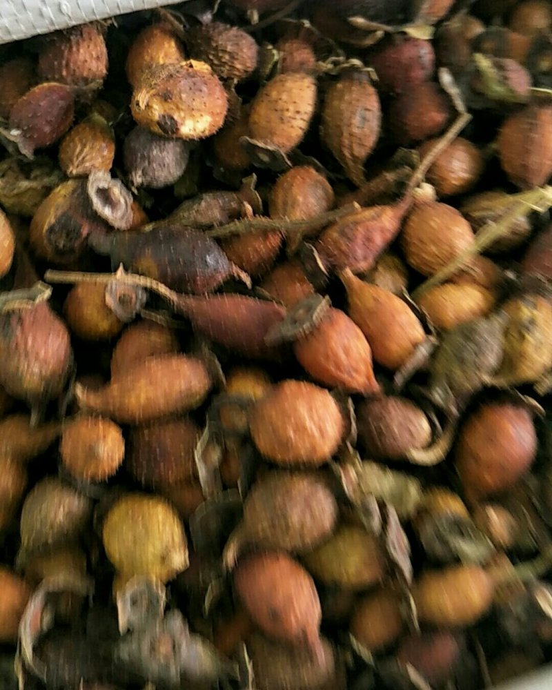 金樱子，常年批发供应中药材，金樱子肉