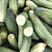 四川本地大棚种植燕白黄瓜开始上市，提供一条龙服务