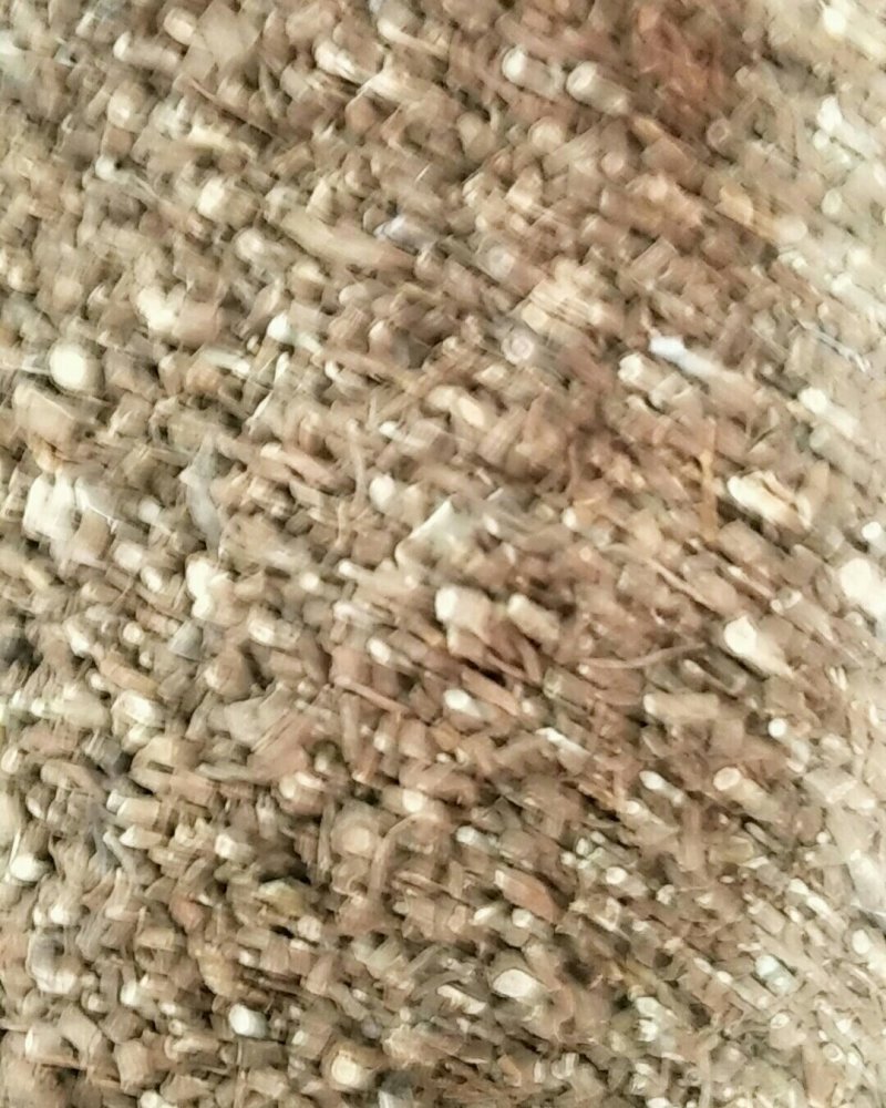 藏柴胡，北柴胡，常年批发供应各种规格柴胡