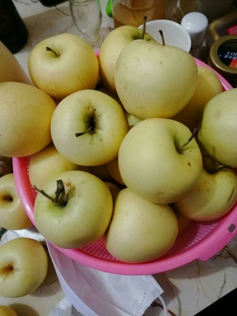 烟台黄元帅苹果金帅粉面苹果