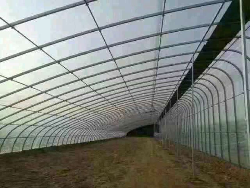 种植大棚大棚配件养殖养猪养牛养鸡
