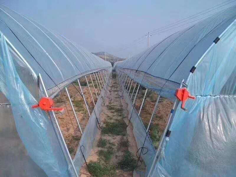 种植大棚大棚配件养殖养猪养牛养鸡