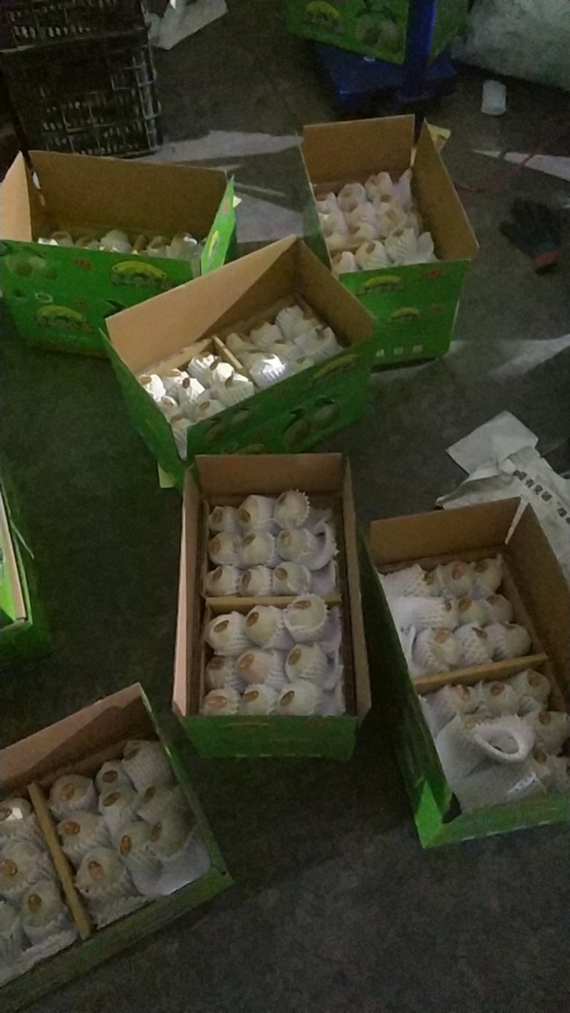 库尔勒香梨100克特级通货产地阿克苏直发
